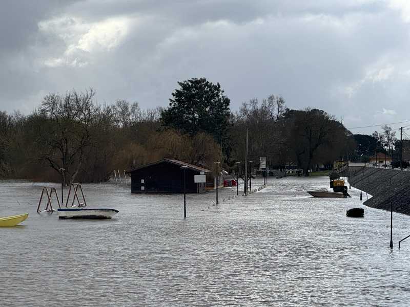 CIMLT- Defende Apoios Extraordin�rios 