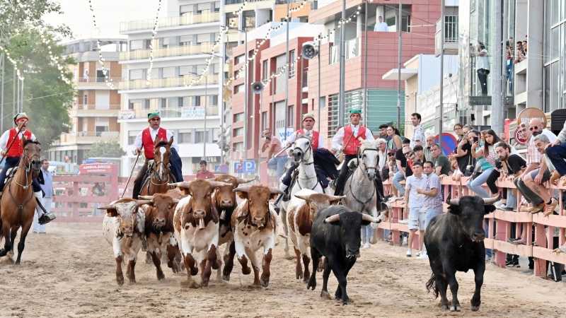 Festas da Cidade do Cartaxo