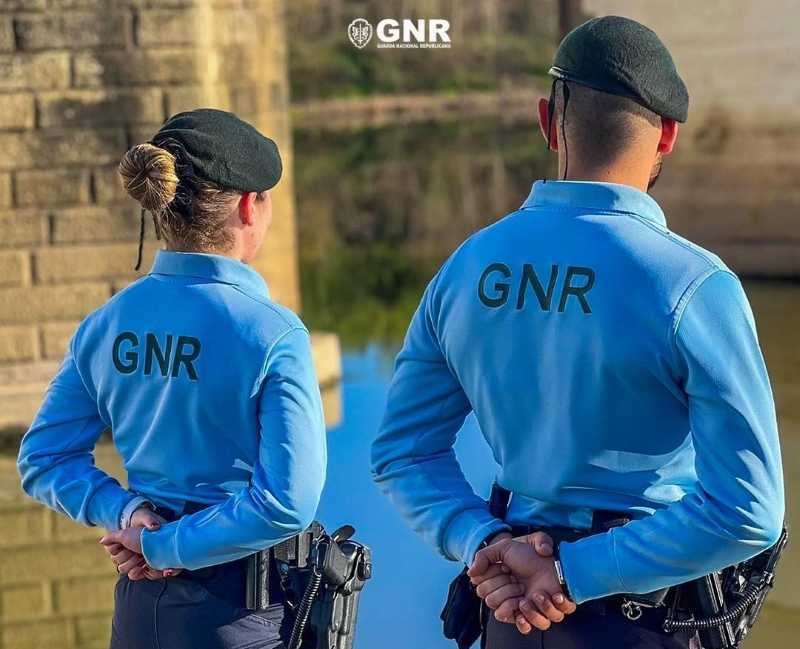 GNR  Atividade operacional semanal 